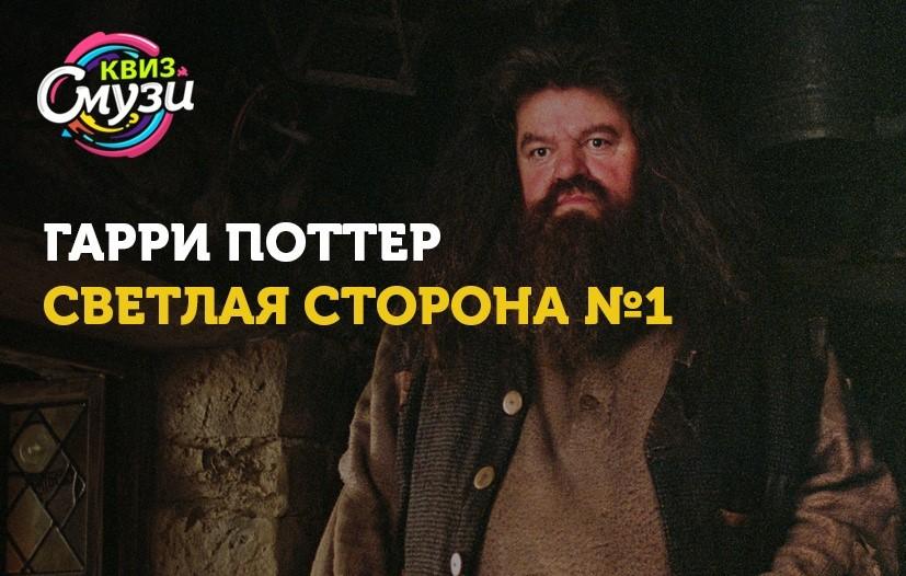 Гарри Поттер. Светлая сторона №1